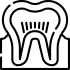 protesis